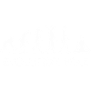 evolution yogi / cadeau humour yoga
