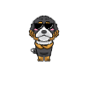 Bernedoodle Opa Hund Mit Sonnenbrille