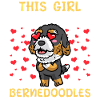 Bernedoodle Chien
