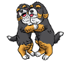 Bernedoodle Lovers Dog Propriétaire