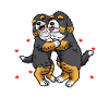 Bernedoodle Mama