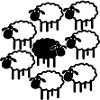 Midnight Sheep Parade