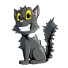 Ugly Black Cat