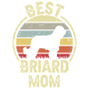 Dog Mom - Briarde