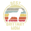 Dog Mom - Brittany