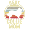 Dog Mom - Collie