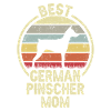 Mère de chien - German Pinscher