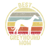 Dog mother - greyhound