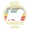 Maman chien - Havanais