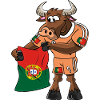Portugal Fan Taureau