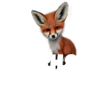 Bin schon ein Fuchs