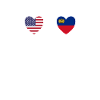 USA and Liechtenstein Liechtenstein flags