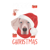 Joyeux Noël Weimaraner
