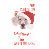 Joyeux Noël Weimaraner