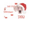 Joyeux Noël Weimaraner