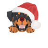 Rottweiler Merry Christmas