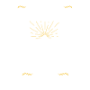 Boxer Dog