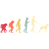 Boxer Dog