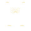 Boxer Dog