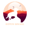 Boykin Spaniel