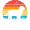Boykin Spaniel