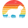 Boykin Spaniel