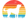 Lacy bleue