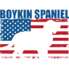 Boykin Spaniel