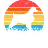 Brittany Spaniel Epagneul Breton Cane