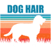 Boykin Spaniel
