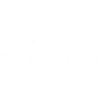 Boykin Spaniel