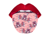 Drone Quadcopter Lips