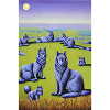 Wolves in a pack
