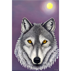 Wolf under the Moon