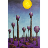 Forêt de champignons