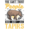 Tapir Lowland Tapir Tapirdae Tapir