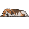 Beagle Dog Life ist Ruff