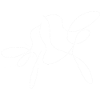Lineart flying pair of birds