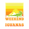chance of Iguanas
