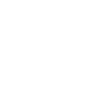 killer whale