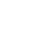 Iisalmi