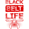 Black Belt Martial Arts