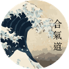 vague aikido cercle