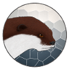 Loutre