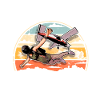 Skydiving Parachuting Parachute