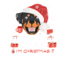 Rottweiler Weihnachtsmarkt