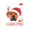Rhodesian Ridgeback Merry Christmas