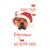 Rhodesian Ridgeback Joyeux Noël