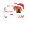 Rhodesian Ridgeback Joyeux Noël