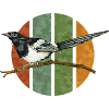 Bunter Vogel